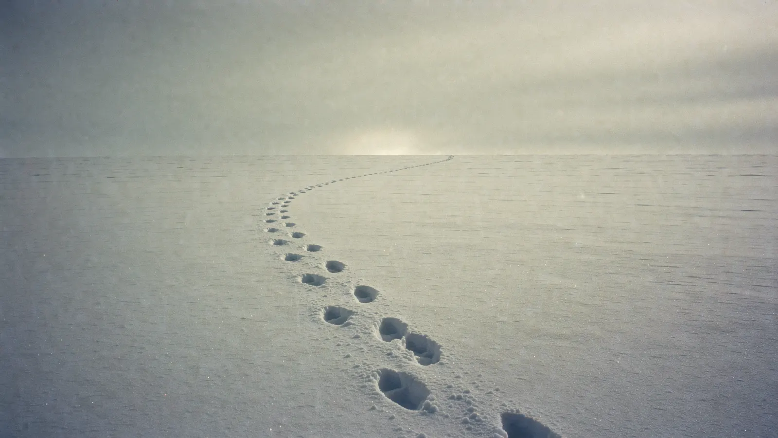 Muted grey-blue shapes drifting toward a single soft point of light, like frost gathering on glass