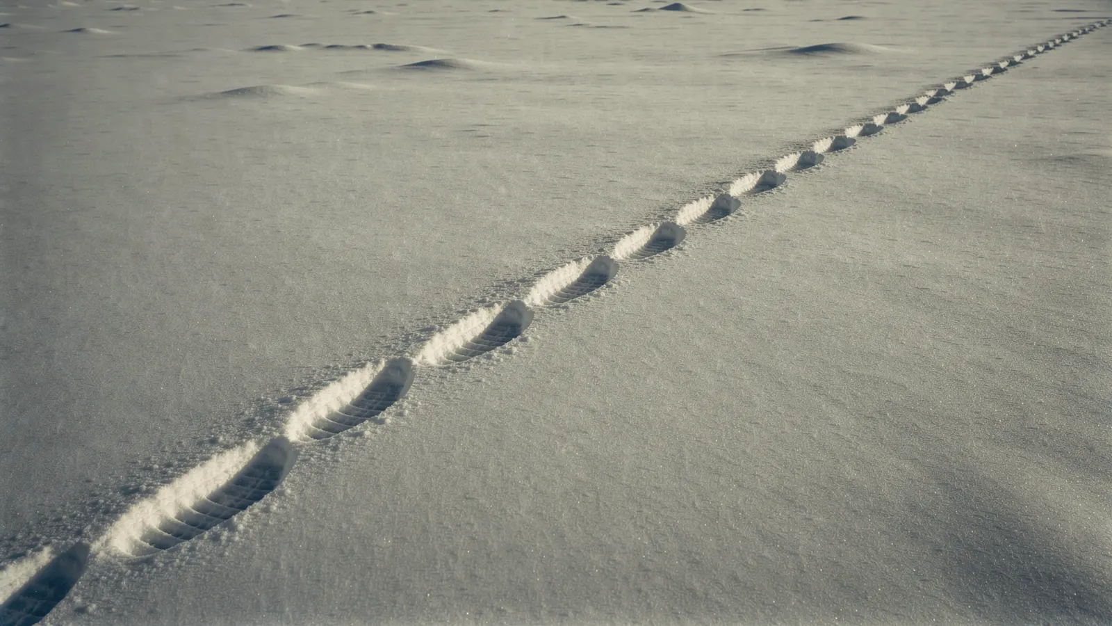 Abstract, muted winter-toned image suggesting a trail of records leading back to a job site