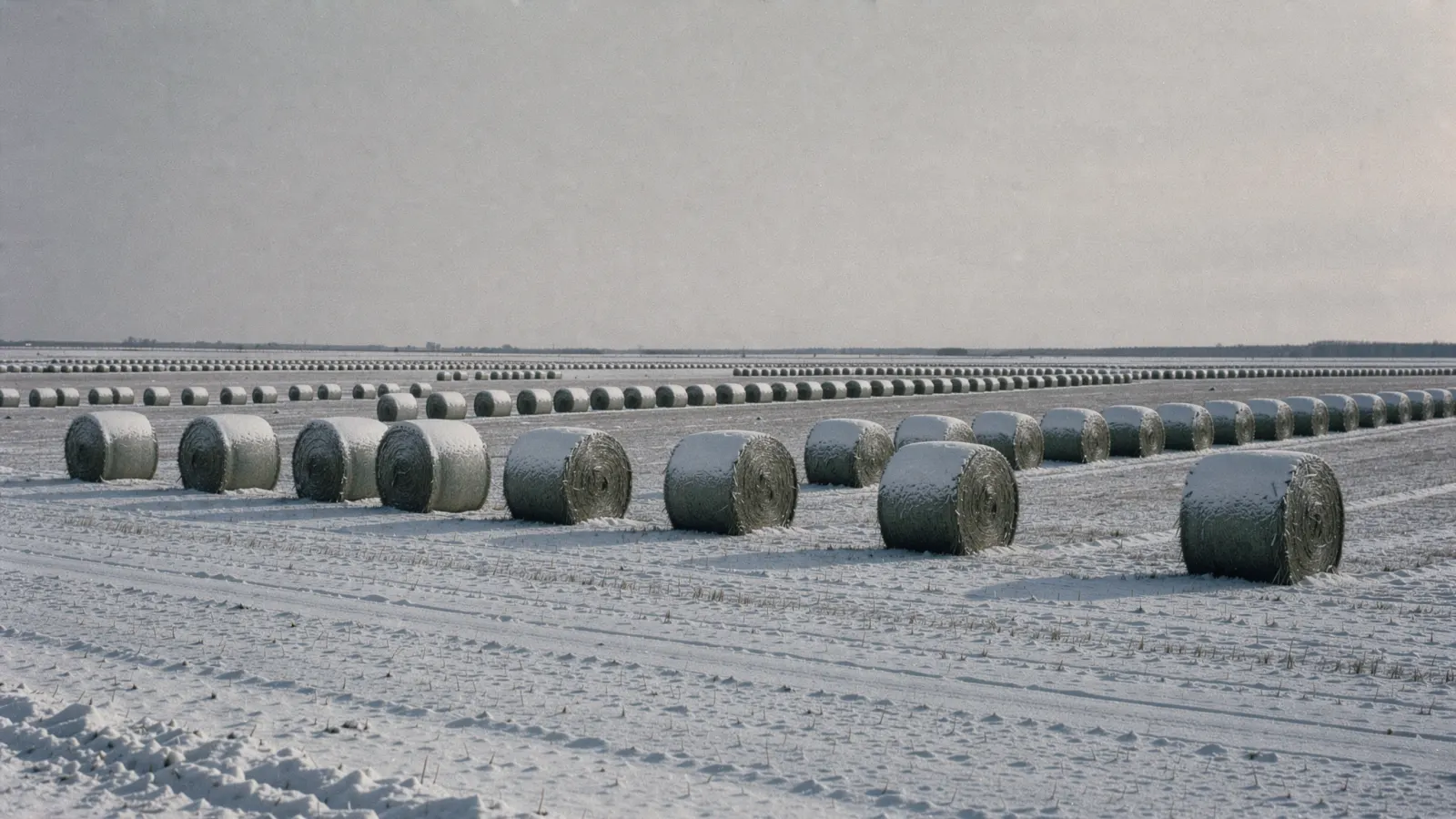 Abstract, muted winter-toned image suggesting rows of a spreadsheet giving way to an organized schedule
