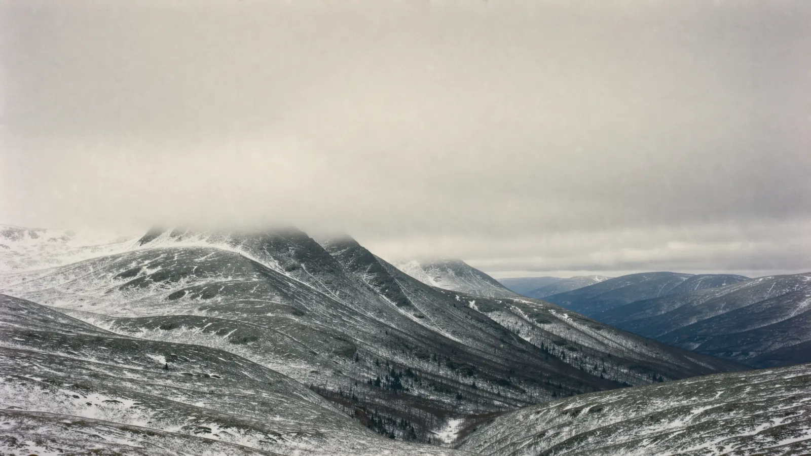 Abstract, muted winter-toned image suggesting a provincial border between two work sites