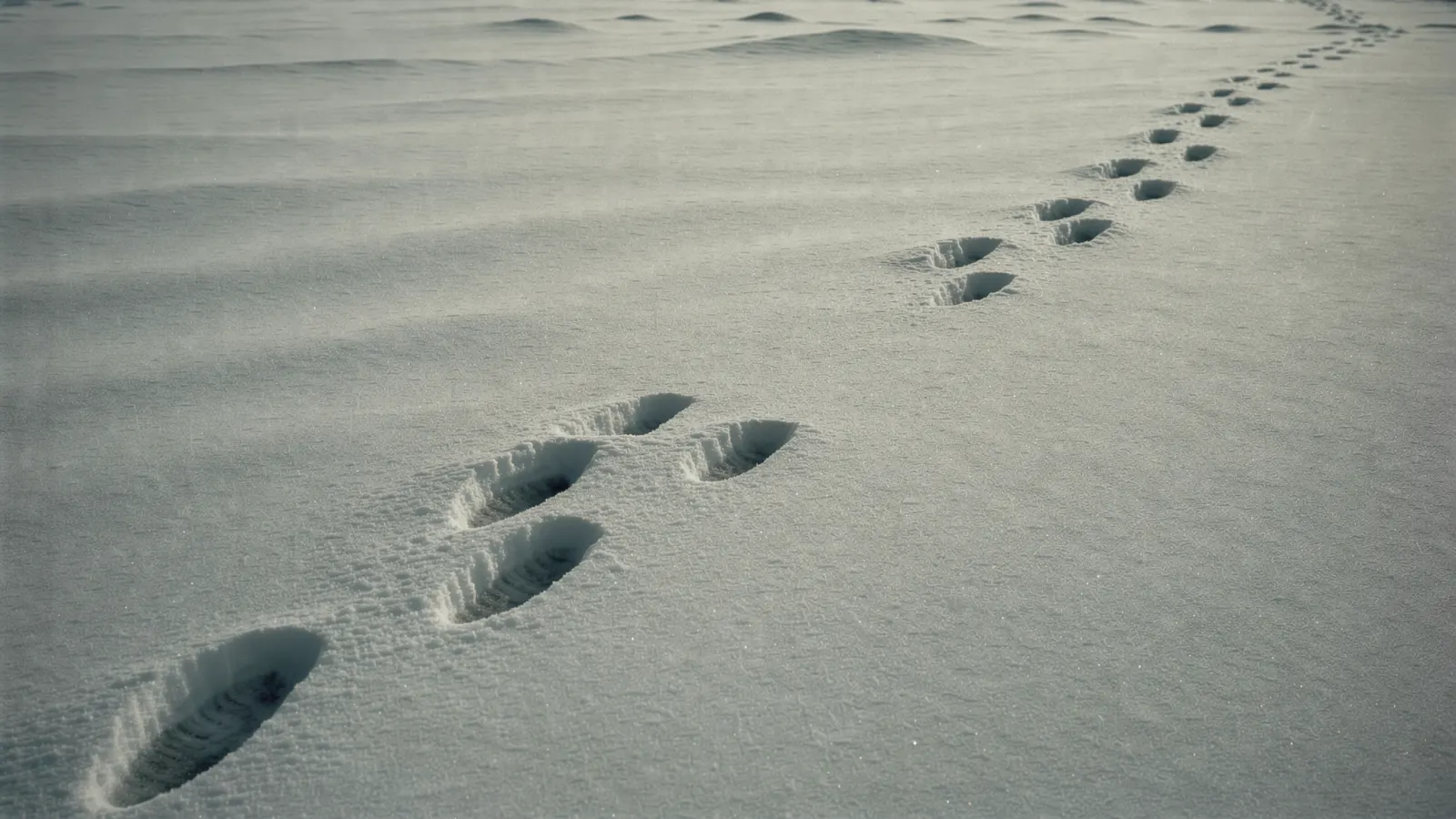 Abstract, muted winter-toned image suggesting two halves that don't quite line up