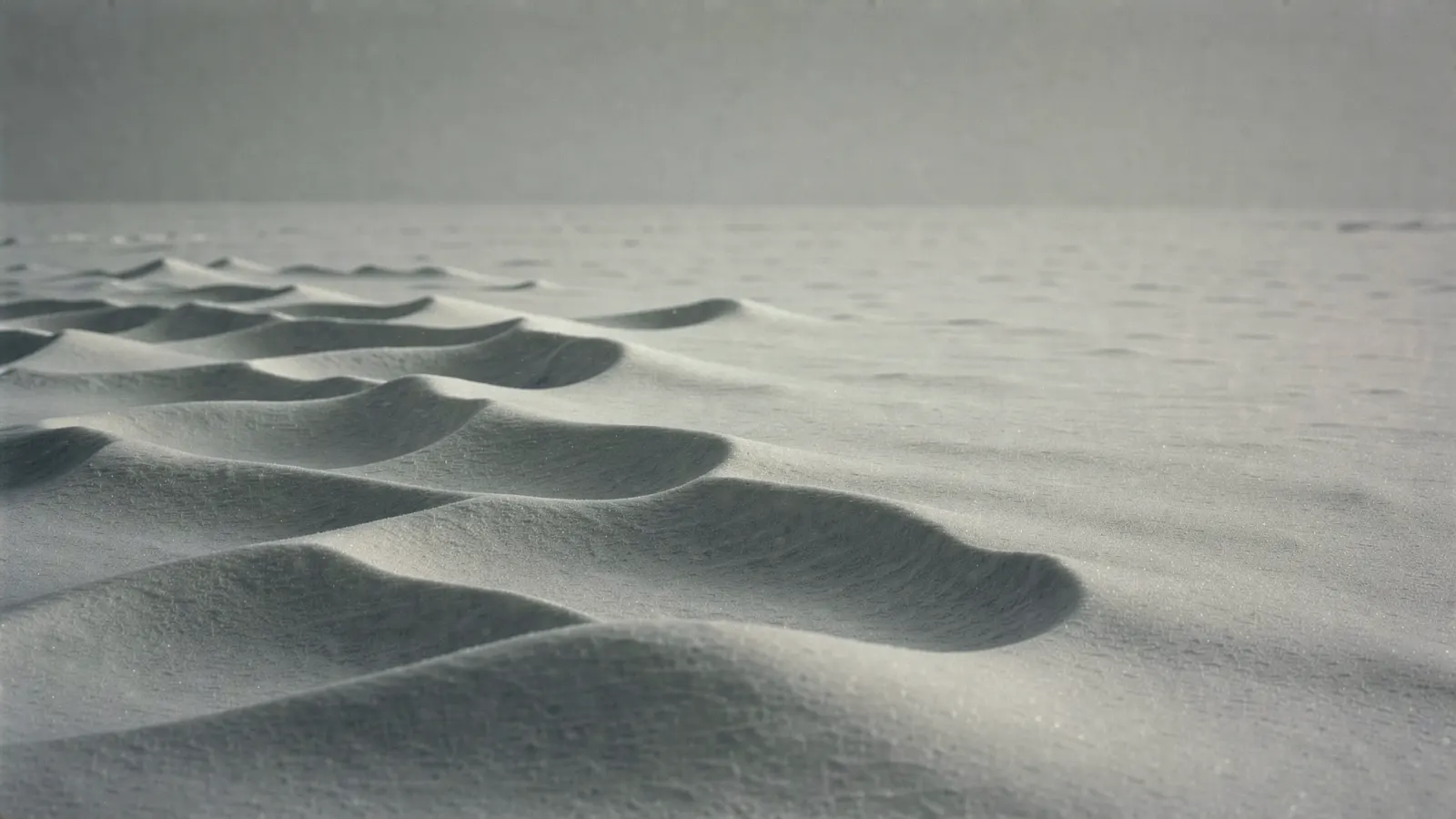 Abstract, muted winter-toned image suggesting scattered records coming together into one place
